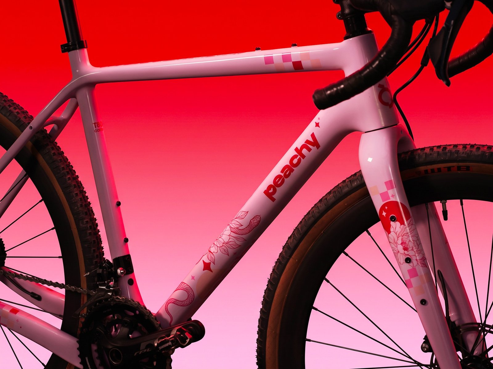 Peachy bicycle — frame identity