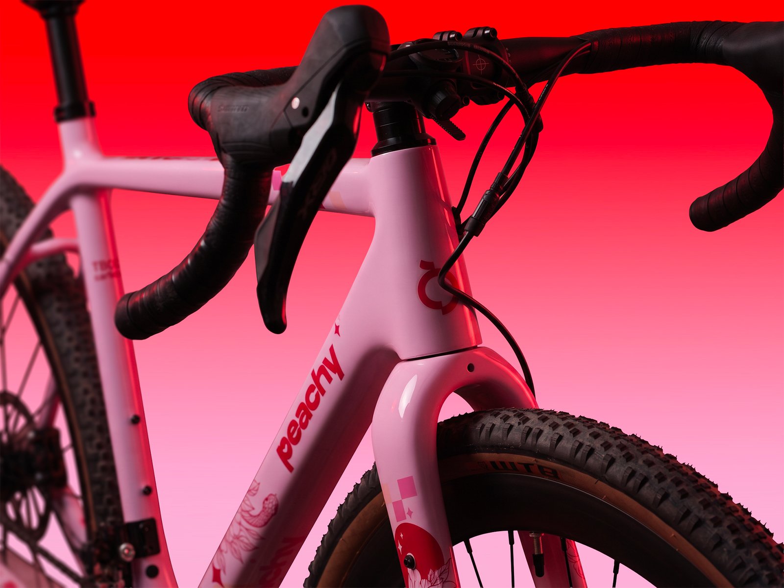 Peachy bicycle — front detail