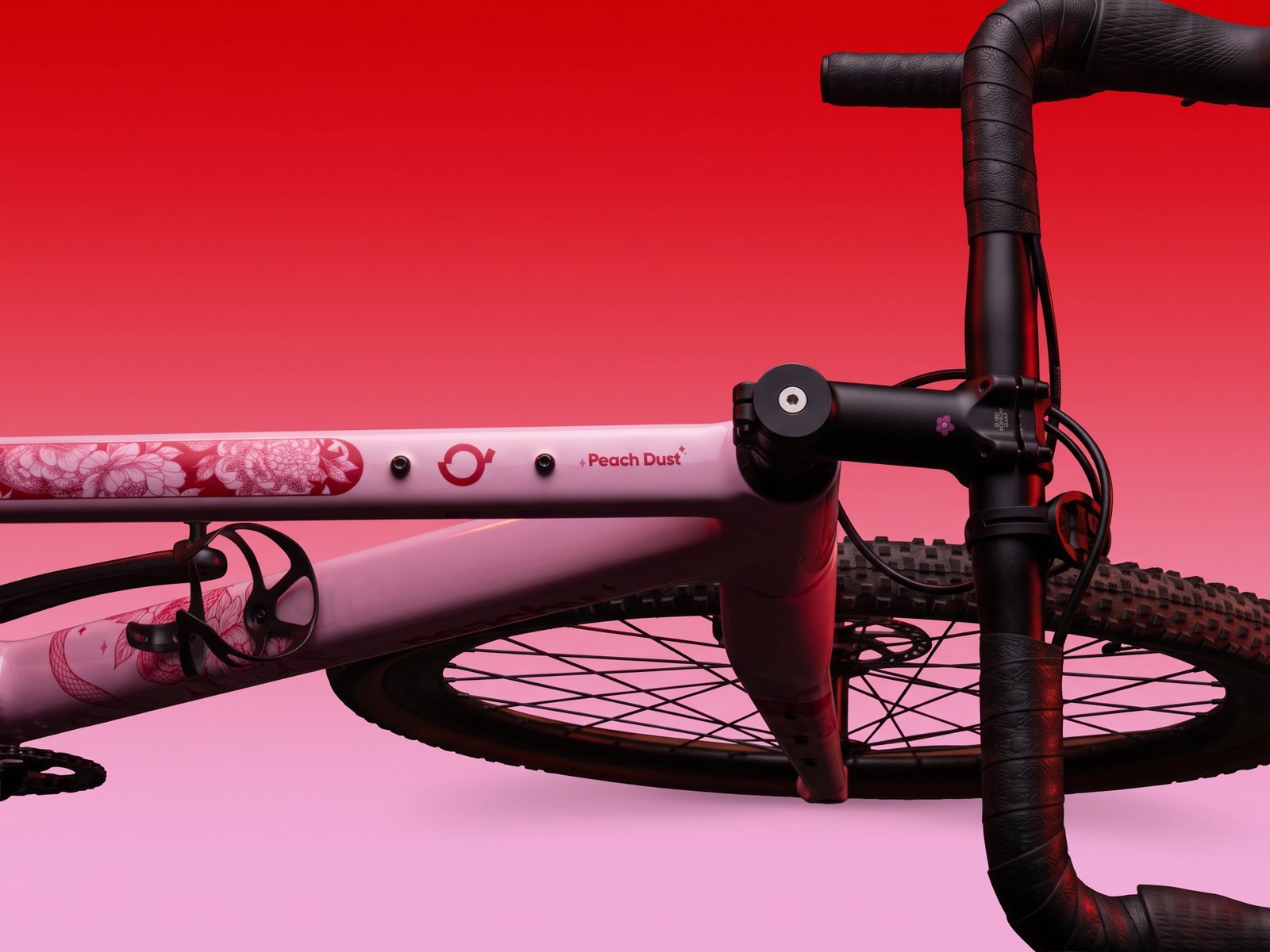 Peachy bicycle — top view identity
